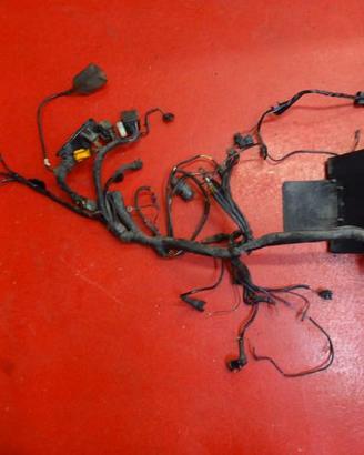 IMPIANTO ELETTRICO BMW R850R 1997