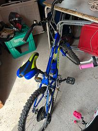 Bicicletta bambino Casadei Stark 20