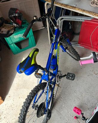 Bicicletta bambino Casadei Stark 20
