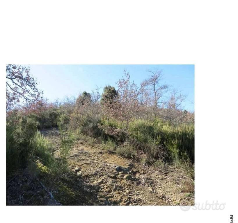 Immobile in asta di 69510 m² a Monte San Savino - Vista 4