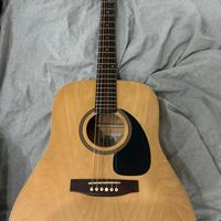 Norman B15 Amplificata LR baggs