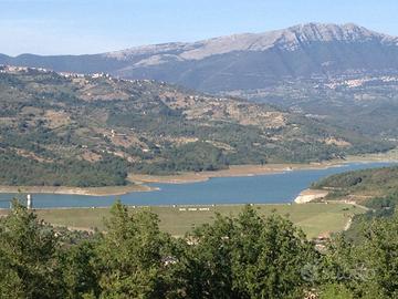 Terreno agricolo di 2,2 ettari con 2 ruderi
