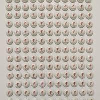 Consorzio Franciacorta - 143 Capsule per Spumanti