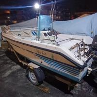 Barca 4,60 mt con carrello 