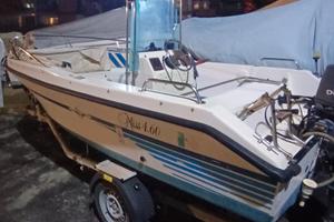 Barca 4,60 mt con carrello 