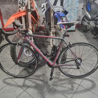 bici corsa olmo carbonio 