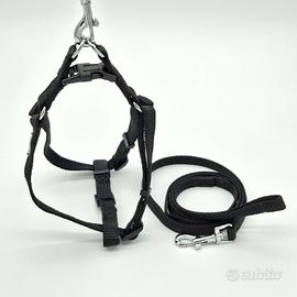 Set pettorina e guinzaglio cane taglia mini nero