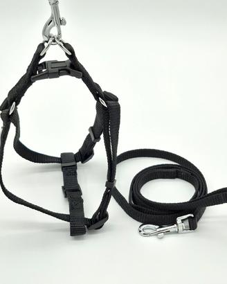 Set pettorina e guinzaglio cane taglia mini nero