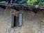 Immagine 14