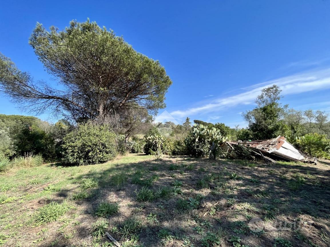 TER. AGRICOLO A ROMA - Vista 2