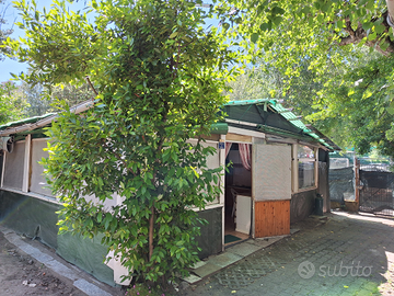 Offert& stagionali con possibilità di riscatto