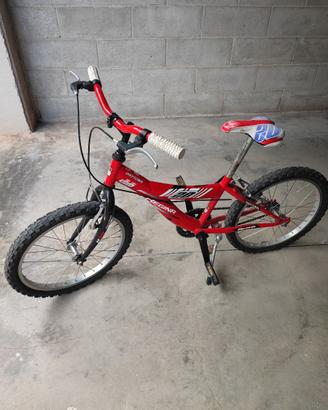 bici regina modello daytona ruote da 20"