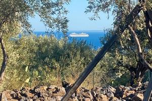 Terreno agricolo con box e codice stalla