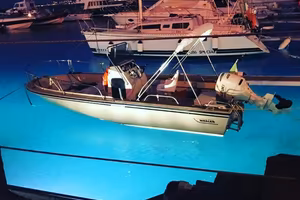 Boston Whaler Outrage 17