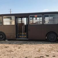 Food Truck Bus