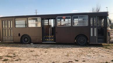 Food Truck Bus