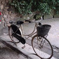 Bicicletta olandese di marca Bianchi