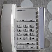 Telefono depaepe premium 100