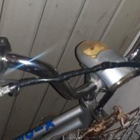 Bici elettrica 