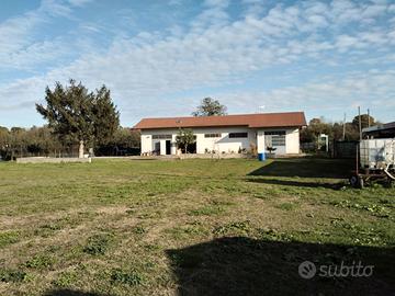 Magazzino con terreno agricolo