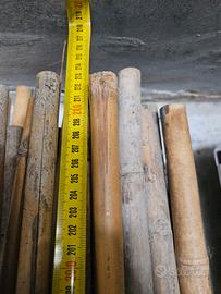 50 canne da bamboo alte 2.20m