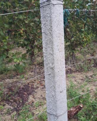 Pali cemento vigneto frutteto recinzione