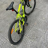 Bici 20’