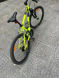 Bici 20’