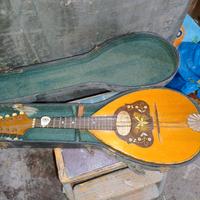 mandola napoli con custodia