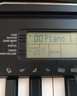 Tastiera Casio CTK-240