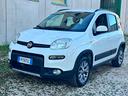 fiat-panda-1-3-mjt-80-cv-s-s-4x4-neopatentati