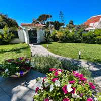 Villa Fregene Nuovissima nel verde di Fregene Nord
