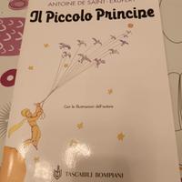 Il Piccolo Principe 
