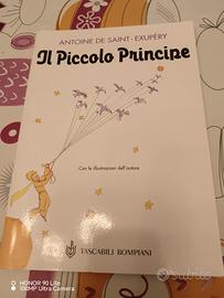 Il Piccolo Principe 