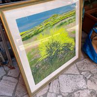 Quadro “Ginestre”  - Franco Azzinari originale