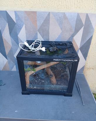 terrario piu serpente