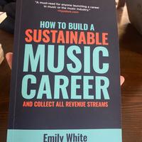 How to build a sustainable music career