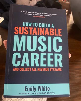 How to build a sustainable music career