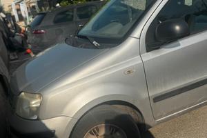 PANDA 2008