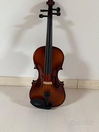 Violino