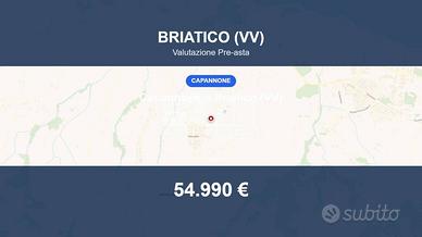 Immobile in asta di 3190 m² a Briatico