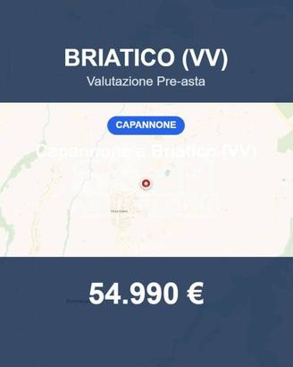 Immobile in asta di 3190 m² a Briatico
