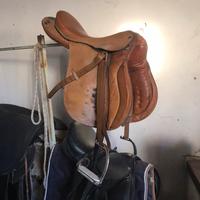 Sella inglese cavallo