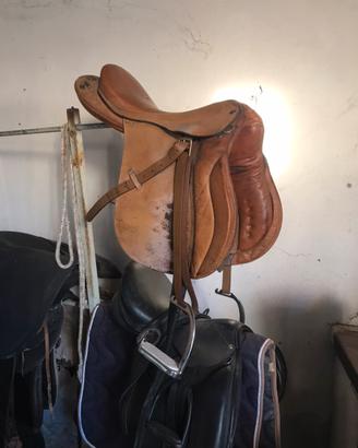 Sella inglese cavallo