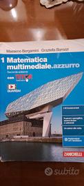 Matematica multimediale  1 