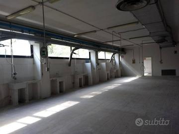 Villaggio crostolo capannone ind-ente mq 1.150