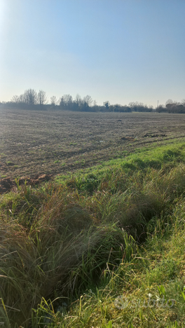 Terreno agricolo