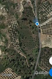 Terreno agricolo 1 ha (11400 mt2) - TURSI (MT)