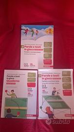 Parole e testi in gioco, Serafini, Fornili.