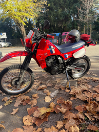 Kawasaki KLR 600
